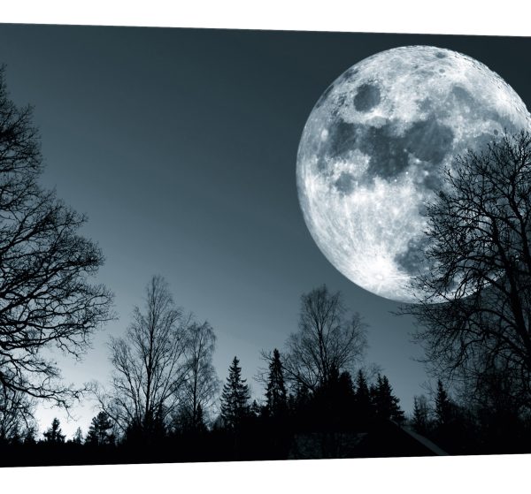 Tablou canvas luna aproape luminescent