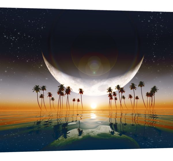 Tablou canvas palmieri luna luminescent