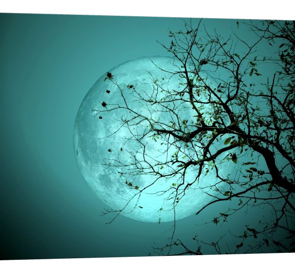 tablou canvas luna plina crengi luminescent