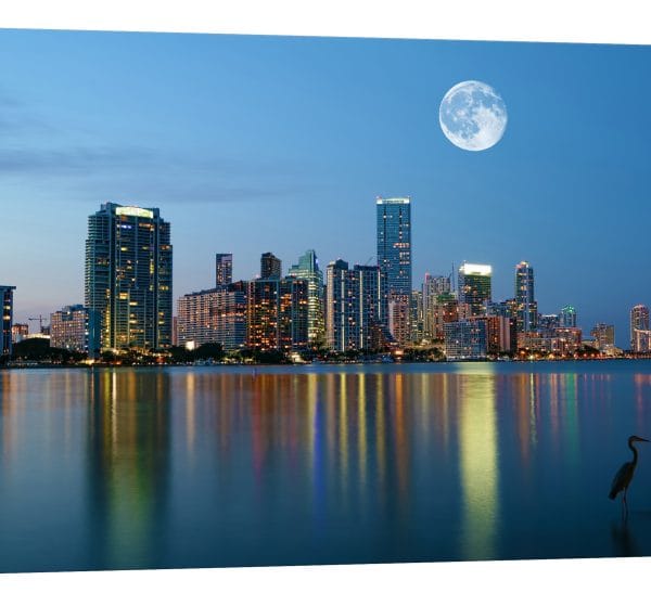 tablou canvas luna plina miami luminescent