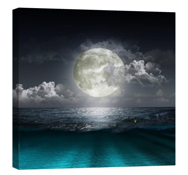Tablou canvas luna ocean luminescent