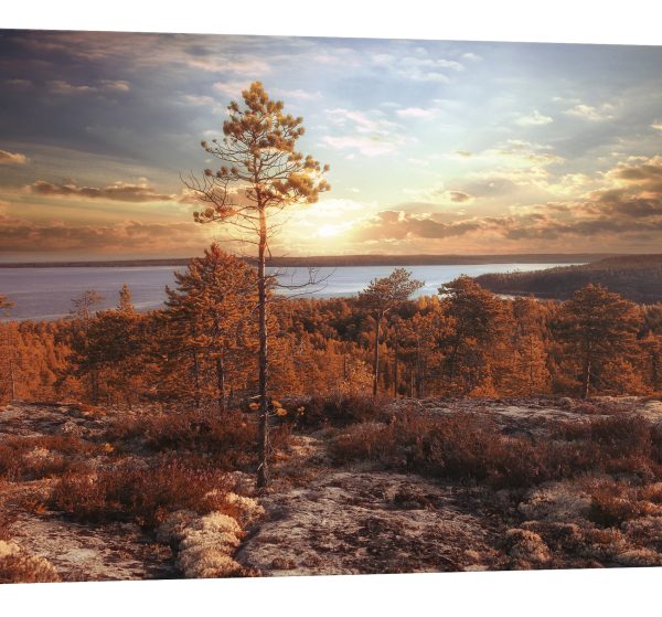 tablou canvas peisaj toamna luminescent