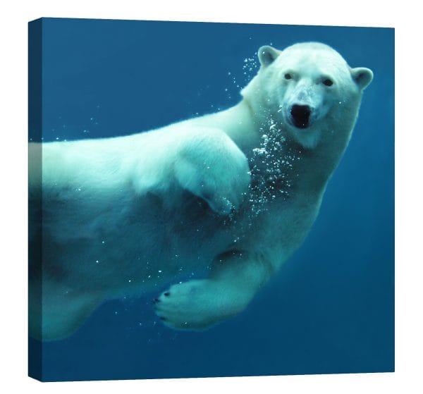 tablou canvas urs polar vesel luminescent